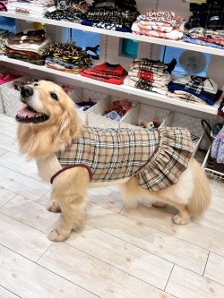 画像4: ベージュタータン☆フェミニンワンピ・１号