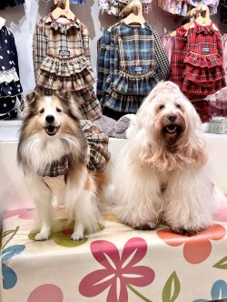 画像3: ベージュタータン☆ガーリーワンピ・７号