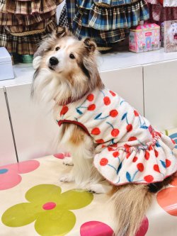 画像5: さくらんぼ柄マイクロフランネルワンピ(ピンクベージュ)・１０号