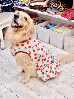 画像8: さくらんぼ柄マイクロフランネルワンピ(ピンクベージュ)・１０号