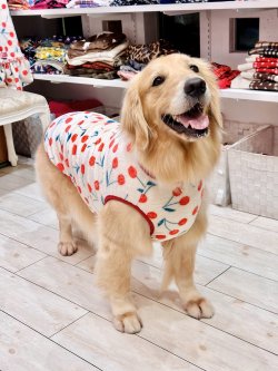 画像4: さくらんぼ柄マイクロフランネルタンク(ピンクベージュ)・４号