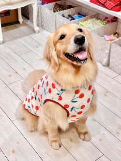 画像3: さくらんぼ柄マイクロフランネルタンク(ピンクベージュ)・４号