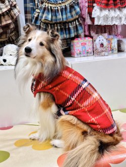 画像4: ルージュチェック柄マイクロフランネルタンク・６号