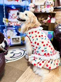 画像2: さくらんぼ柄マイクロフランネルワンピ(ピンクベージュ)・１０号