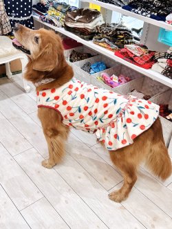 画像11: さくらんぼ柄マイクロフランネルワンピ(ピンクベージュ)・１０号