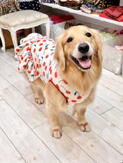 画像7: さくらんぼ柄マイクロフランネルワンピ(ピンクベージュ)・１０号