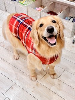 画像7: ルージュチェック柄マイクロフランネルタンク・６号