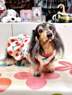 画像3: さくらんぼ柄マイクロフランネルワンピ(ピンクベージュ)・１０号