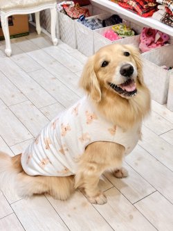 画像5: テディベア柄マイクロフランネルタンク（ホワイト）・９号