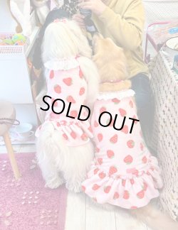 画像9: ストロベリー柄マイクロフランネルワンピ(ピンク)・７号