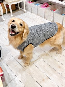 画像7: グレンチェック柄ジャガードタンク・２号