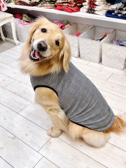 画像8: グレンチェック柄ジャガードタンク・２号