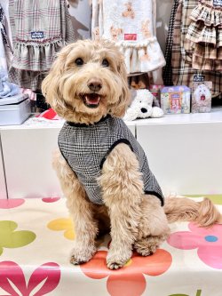 画像4: グレンチェック柄ジャガードタンク・２号