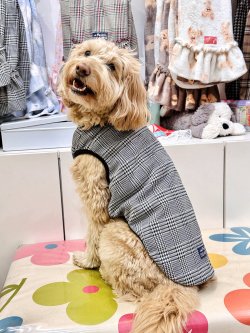 画像5: グレンチェック柄ジャガードタンク・２号