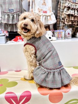 画像6: グレータータン☆フェミニンワンピ・７号