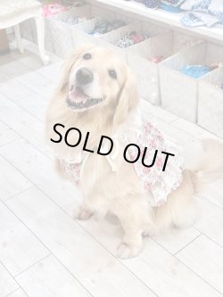 画像10: レトロなお花柄ビスチェ・９号