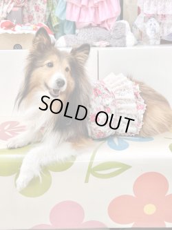 画像6: レトロなお花柄ビスチェ・９号