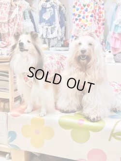 画像5: レトロなお花柄ワンピ・４号