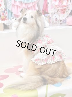 画像5: レトロなお花柄ビスチェ・９号