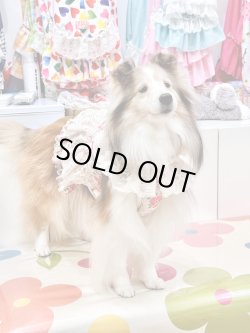 画像4: レトロなお花柄ビスチェ・９号