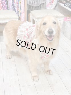 画像11: レトロなお花柄ビスチェ・９号