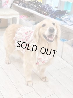 画像9: レトロなお花柄ビスチェ・９号