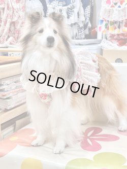 画像3: レトロなお花柄ビスチェ・９号