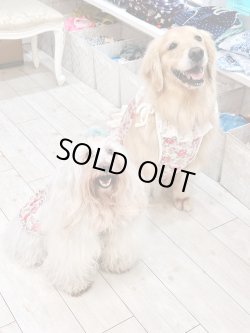 画像12: レトロなお花柄ビスチェ・９号