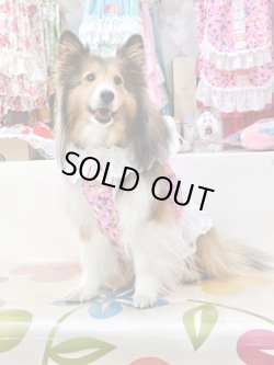 画像5: ツーウェイ☆ビオラ柄ビスチェ・１号