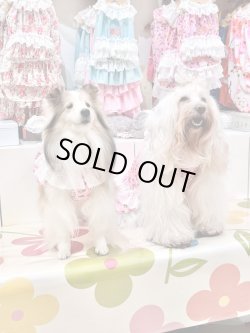 画像6: ツーウェイ☆ビオラ柄ガーリーワンピ・６号