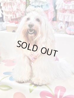 画像7: ツーウェイ☆ビオラ柄タンク・８号