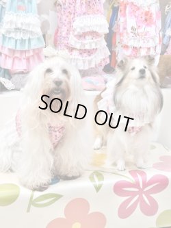 画像4: ツーウェイ☆ビオラ柄ビスチェ・１号