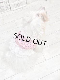 画像6: ツーウェイ☆ビオラ柄ビスチェ・１号