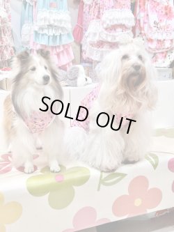 画像6: ツーウェイ☆ビオラ柄タンク・８号