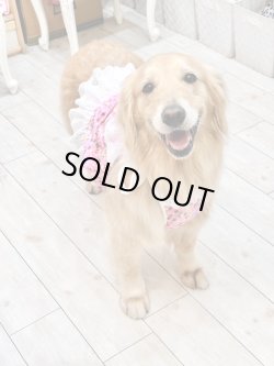 画像10: ツーウェイ☆ビオラ柄ビスチェ・１号