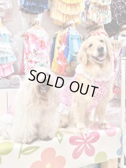 画像7: ツーウェイ☆ビオラ柄キャミ(裾レース)・８号