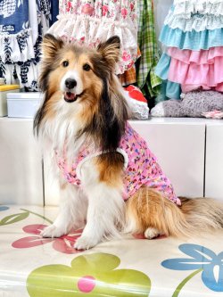 画像2: ツーウェイ☆ビオラ柄タンク・２号