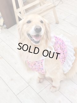 画像7: ツーウェイ☆ビオラ柄ビスチェ・１号