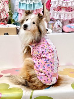 画像5: ツーウェイ☆ビオラ柄タンク・２号