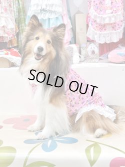 画像6: ツーウェイ☆ビオラ柄キャミ(裾レース)・８号