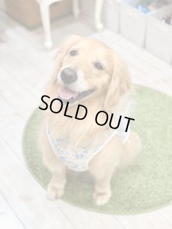 画像9: カラミドビー☆フルールタンク(ブルー)・７号