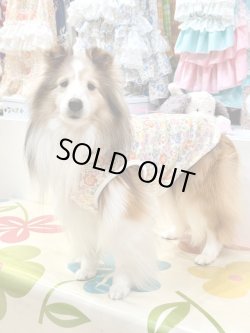 画像4: カラミドビー☆フルールタンク(オレンジ)・１０号