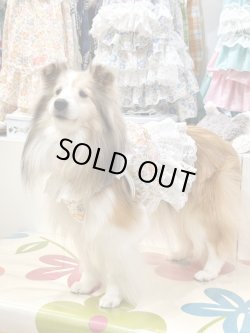 画像2: カラミドビー☆フルールビスチェ(オレンジ)・５号