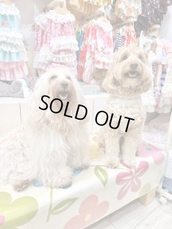 画像5: カラミドビー☆フルールタンク(オレンジ)・１０号