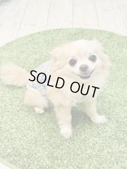 画像2: カラミドビー☆フルールタンク(ブルー)・７号