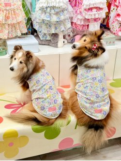 画像4: カラミドビー☆フルールタンク(ミックス)・１号
