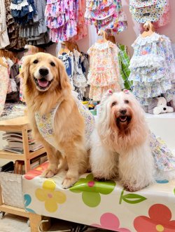 画像5: カラミドビー☆フルールワンピ(ミックス)・６号