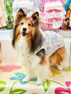 画像3: カラミドビー☆フルールタンク(ミックス)・１号