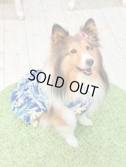 画像3: ライトツーウェイ☆ストレリチア柄フェミニンワンピ（ブルー）・１号