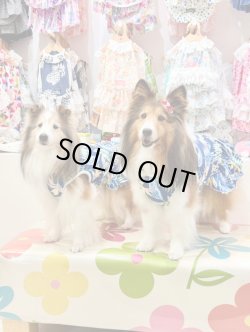 画像2: ライトツーウェイ☆ストレリチア柄フェミニンワンピ（ブルー）・１号